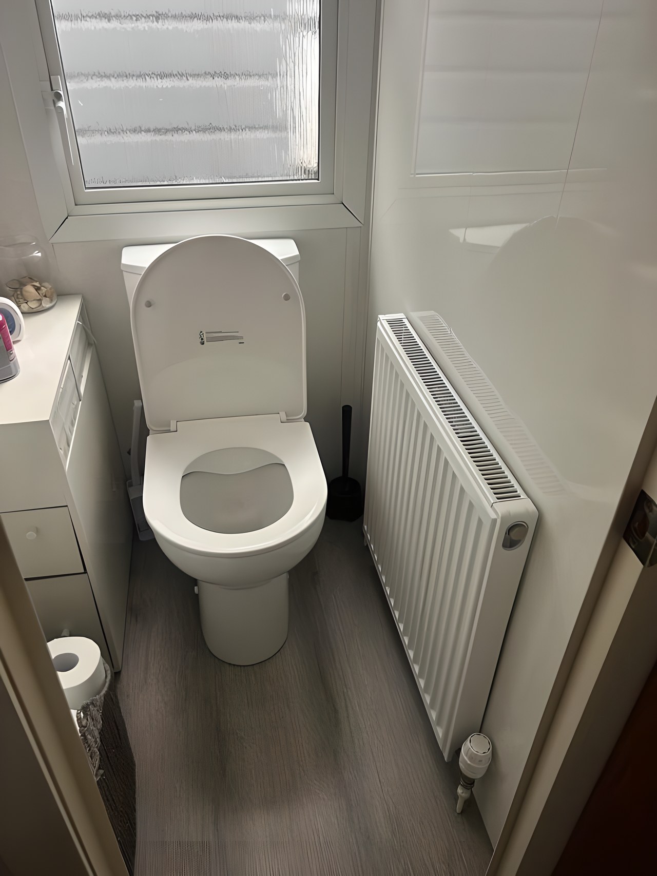 Close-coupled toilet and radiator in a cloakroom