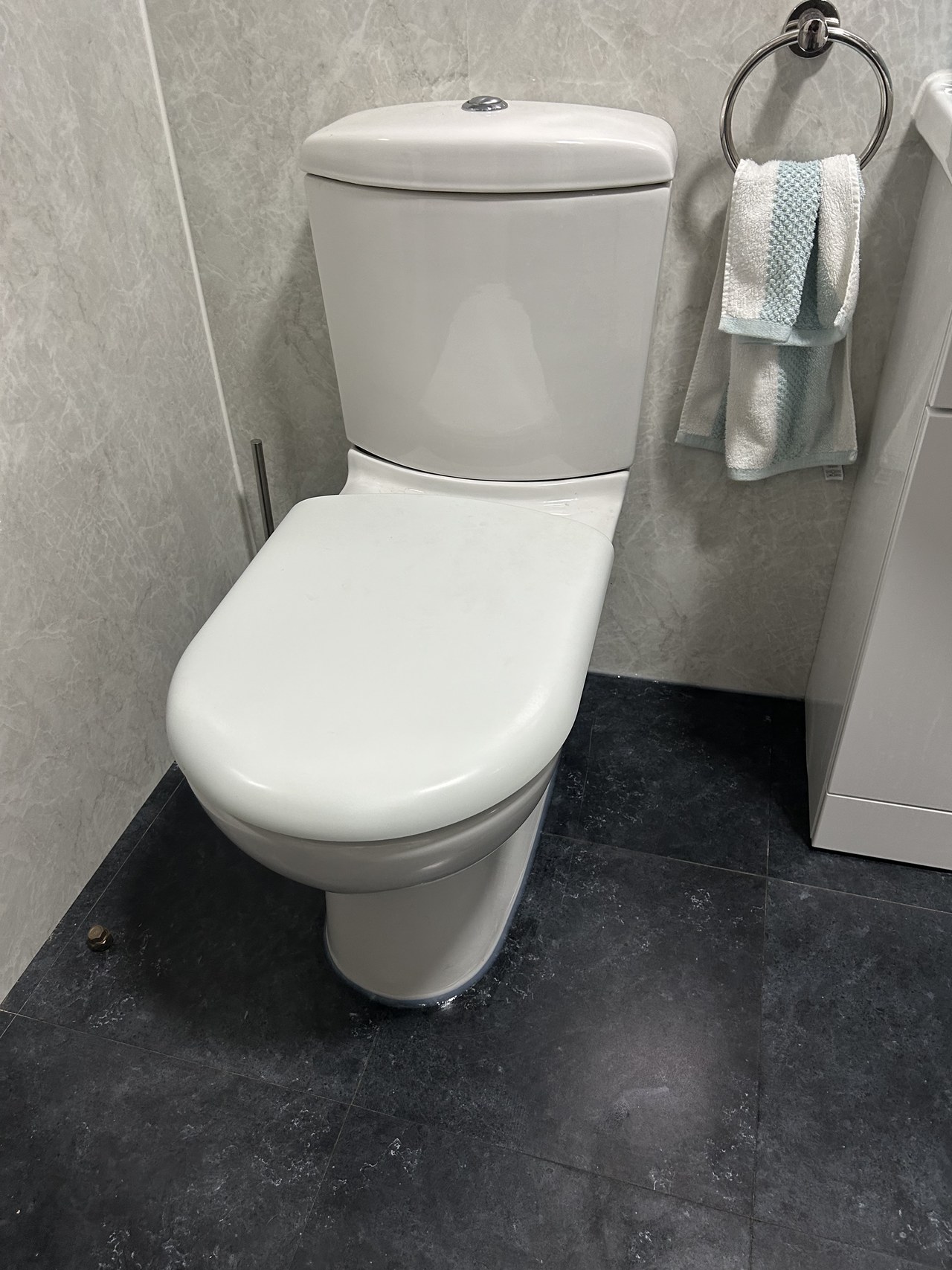 New toilet fitted in a bathroom